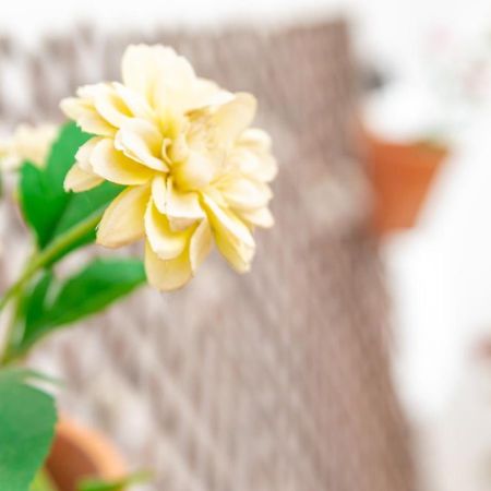 バルバテCasa Siroco | +Patioアパートメント エクステリア 写真